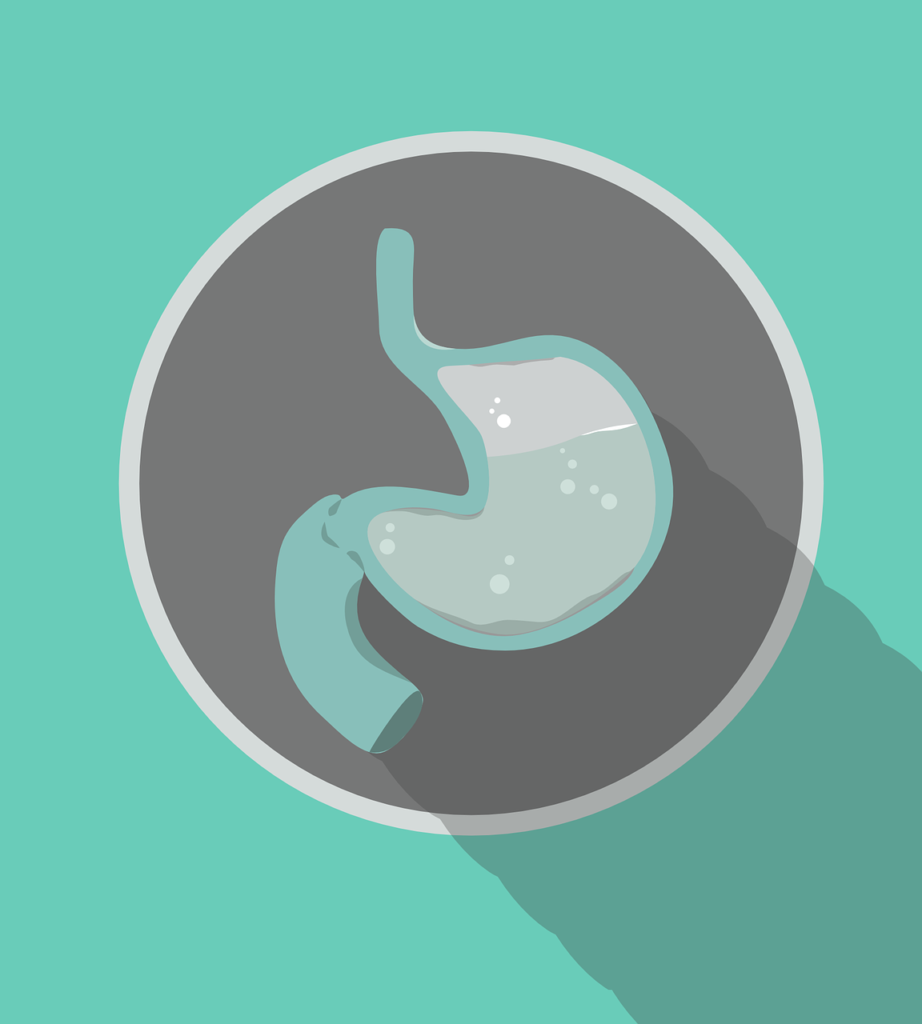 stomach, stomach vector, gastritis-1051854.jpg