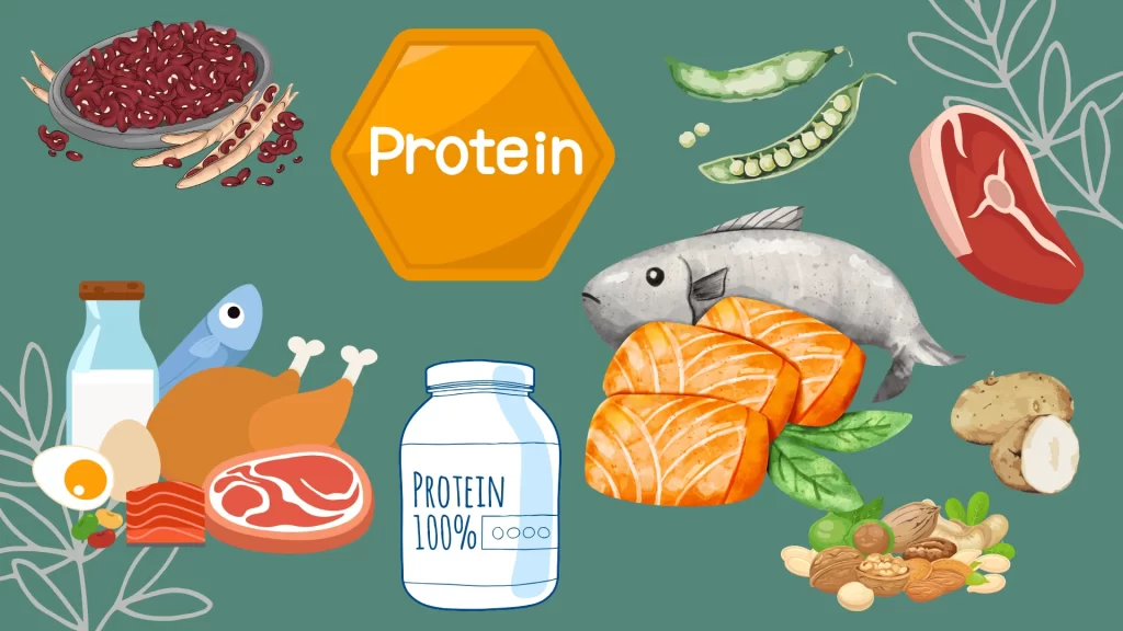 Proteína: el secreto que tu metabolismo necesita y casi nadie aprovecha